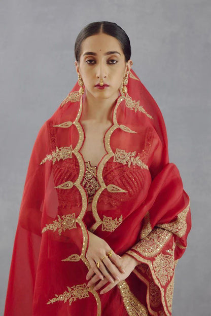 Bollywood BlockBuster Launching saree single available wholesale