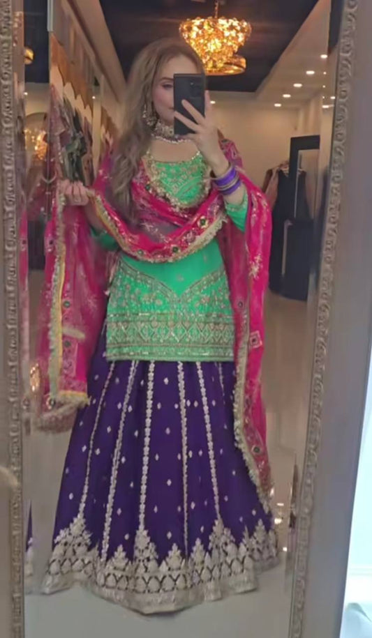 Đěsigner Lehenga -Top In New Fancy Style