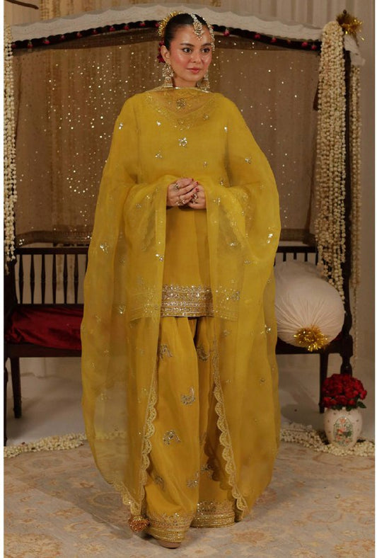 PARTY WEAR TOP AND PLAZO . WITH FANCY DUPPATA AND EMBROIDERY WORK