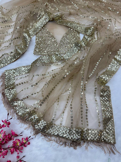 bollywood Beautiful sequins saree collection