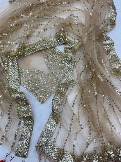 bollywood Beautiful sequins saree collection