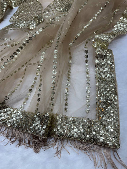 bollywood Beautiful sequins saree collection