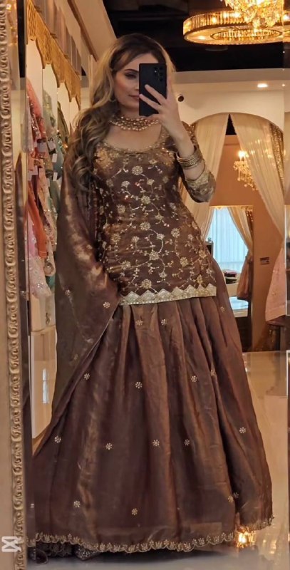Top Lehenga  Heavy Fandy Silk With Sequence Fancy Border Work