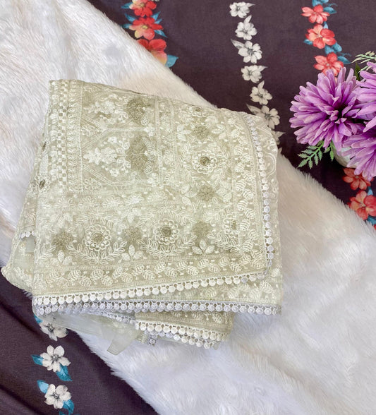 Pure soft Off-white silk  organza saree with Lucknowi