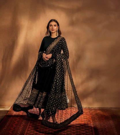 bollywood gown dia mirza Embroidered gown