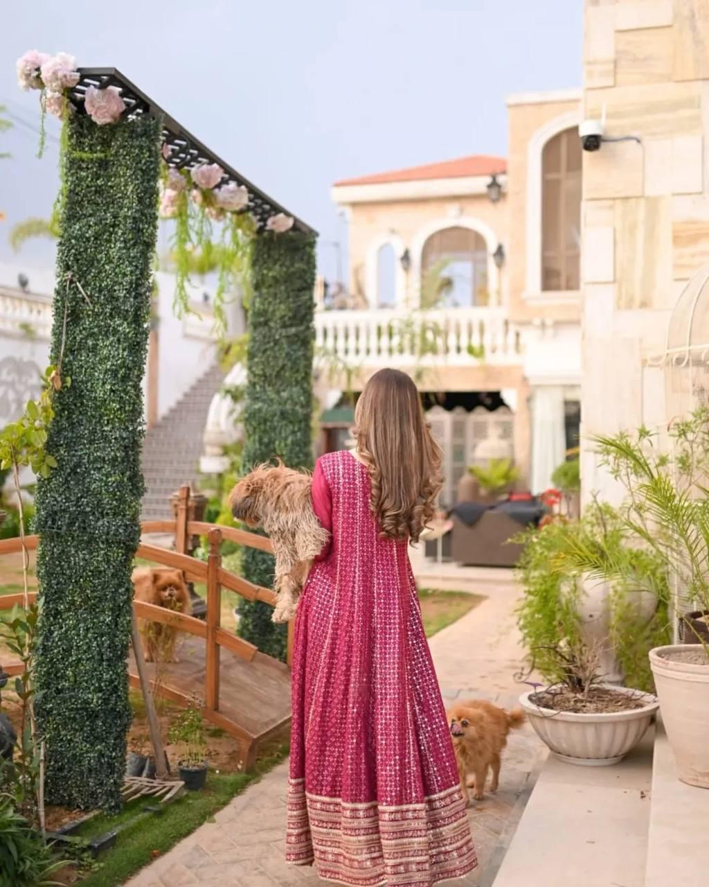 Designer Party Gowns Pent & Dupatta Set